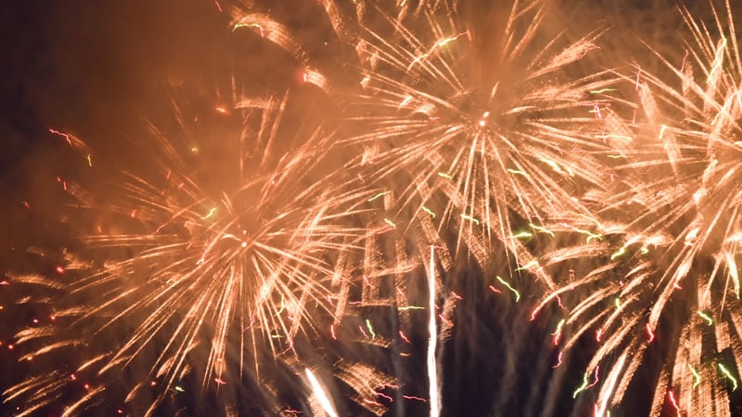 Dandelion Firework Burst