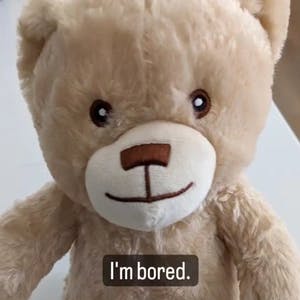 Bored Teddy Bear
