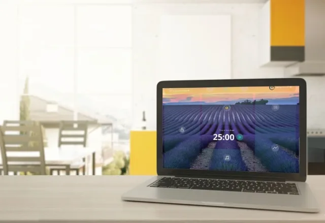 Sukha running on a laptop at a kitchen table